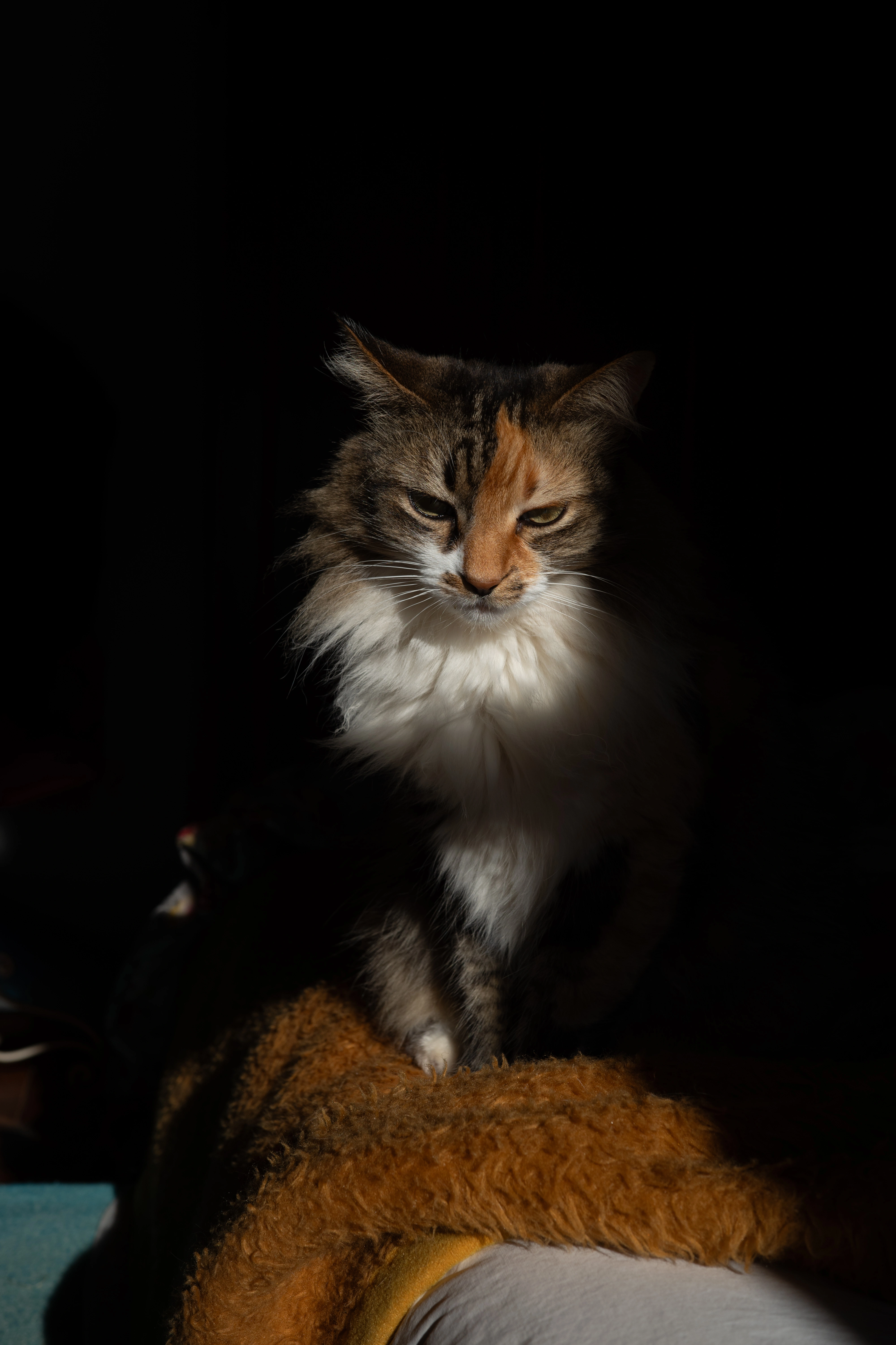Portrait of Marian